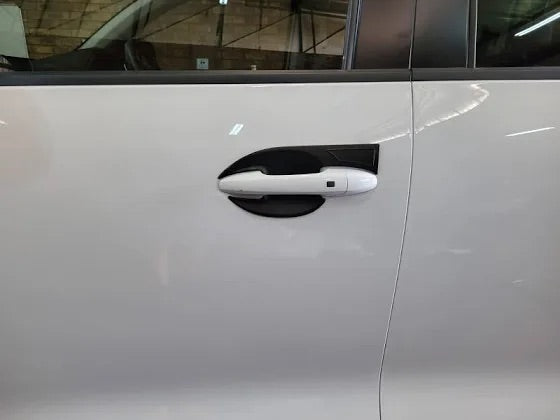 Door handle bowls GWM P-series 2021+